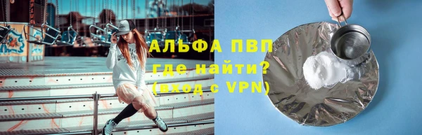 крисы Новодвинск
