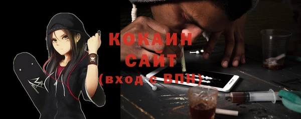 крисы Новодвинск