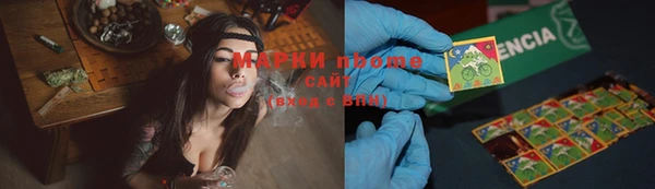 a pvp Новозыбков