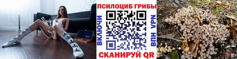 Псилоцибиновые грибы Magic Shrooms  Купить  Анадырь 